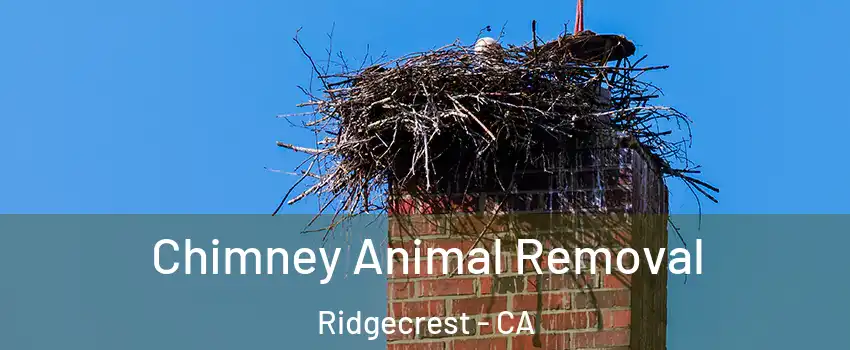 Chimney Animal Removal Ridgecrest - CA
