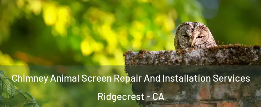  Chimney Animal Screen Repair And Installation Services Ridgecrest - CA