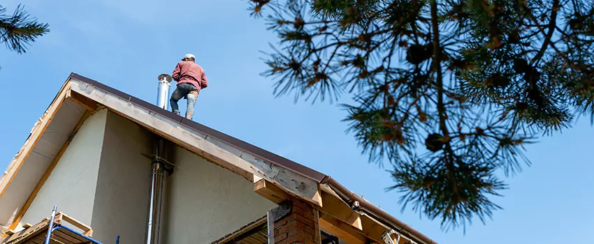 Birds Removal Contractors from Chimney in Ridgecrest, CA