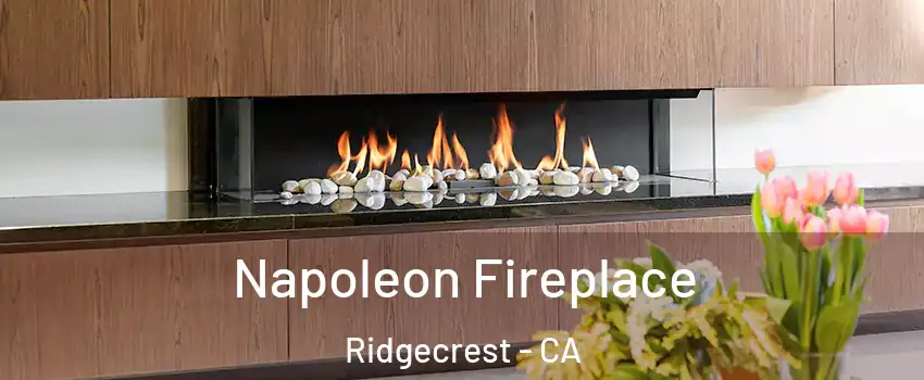  Napoleon Fireplace Ridgecrest - CA